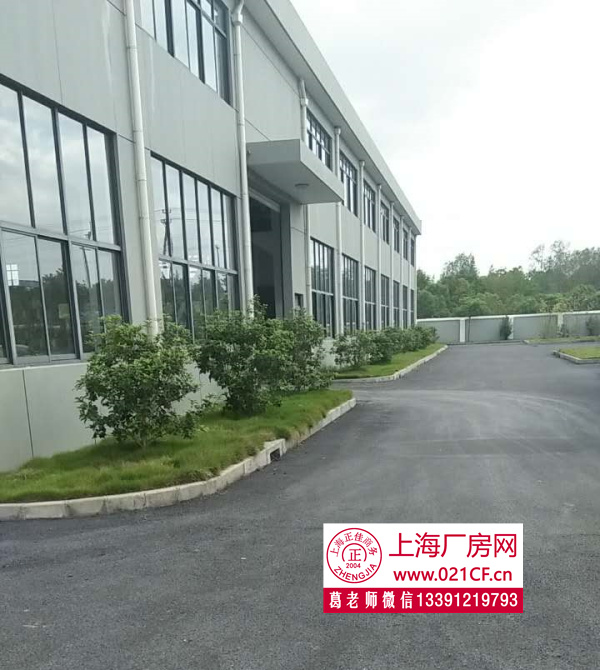 A8112 松江金山廠房倉(cāng)庫(kù)出租 大小可分割出租 