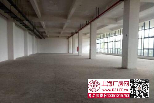 G1729 浦東 航頭鎮(zhèn) 8000平方米廠(chǎng)房倉(cāng)庫(kù)出租  100平起租 適合倉(cāng)儲(chǔ)電商 價(jià)格優(yōu)惠