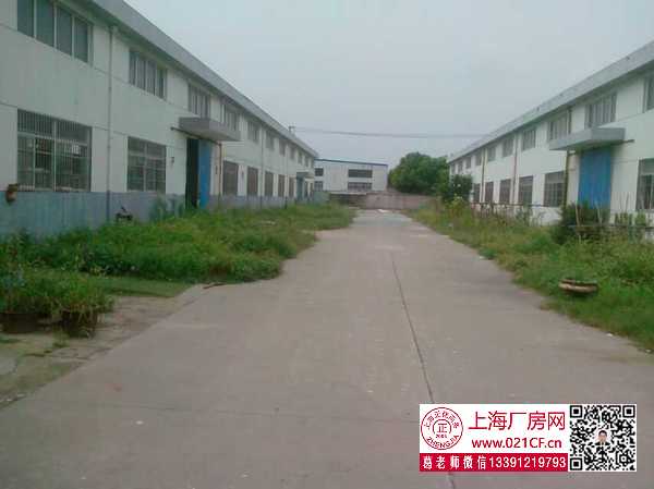 G1756 金山區(qū)漕涇鎮(zhèn)亭衛(wèi)公路單層廠房倉(cāng)庫(kù)出租 可分租 0.65元起  丙類(lèi)消防  104地塊可環(huán)評(píng)