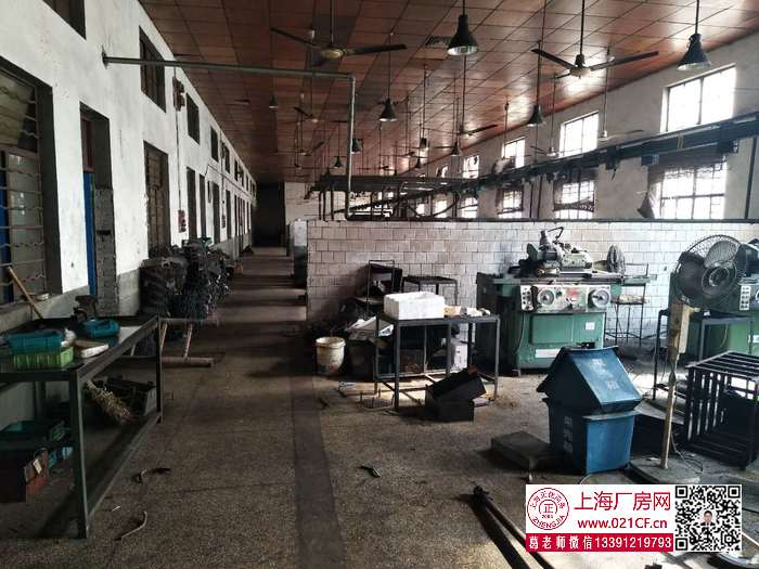 G1771 寶山 楊行鎮(zhèn) 鐵力路全單層磚混結構三號線沿線3350平方米廠房倉庫出租 可分割